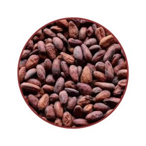 Ugandan Untreated Cocoa Beans